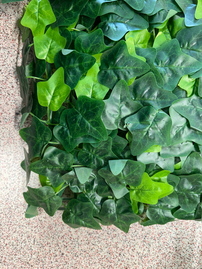 Panou verde artificial cu frunze tip iedera, 40 x 60 cm, model compact, Ruyidecor