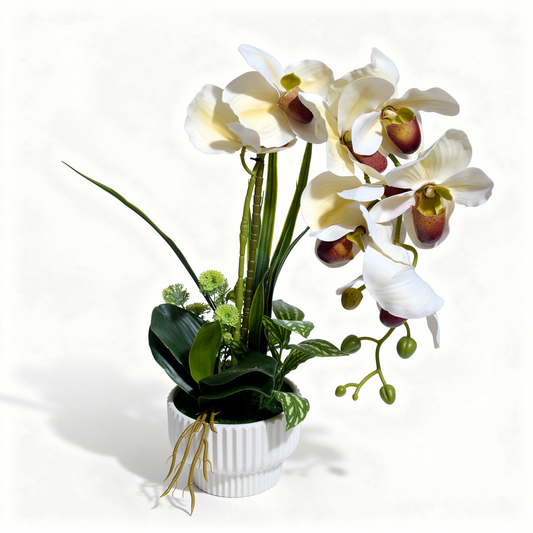 Aranjament floral artificial tip orhidee, cu ghiveci alb, 20 x 50 cm - 1