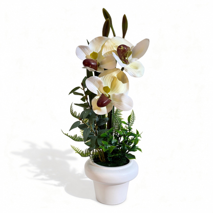 Orhidee decorativă artificială în ghiveci, 48 cm - 3