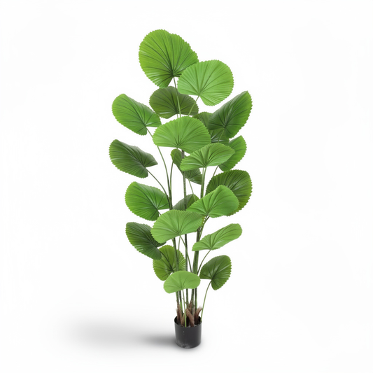 Planta artificiala decorativa cu frunze tip evantai, ghiveci negru, 180 cm
