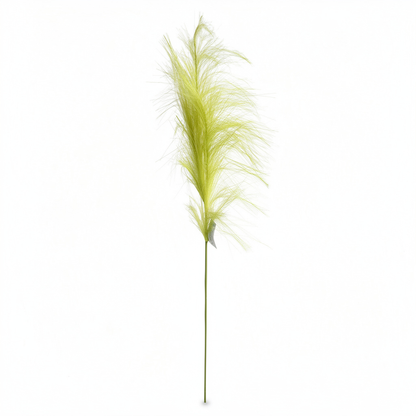 Pană Decorativă Artificială Tip Pampas 60 cm, Diverse Culori, 1 buc - 7