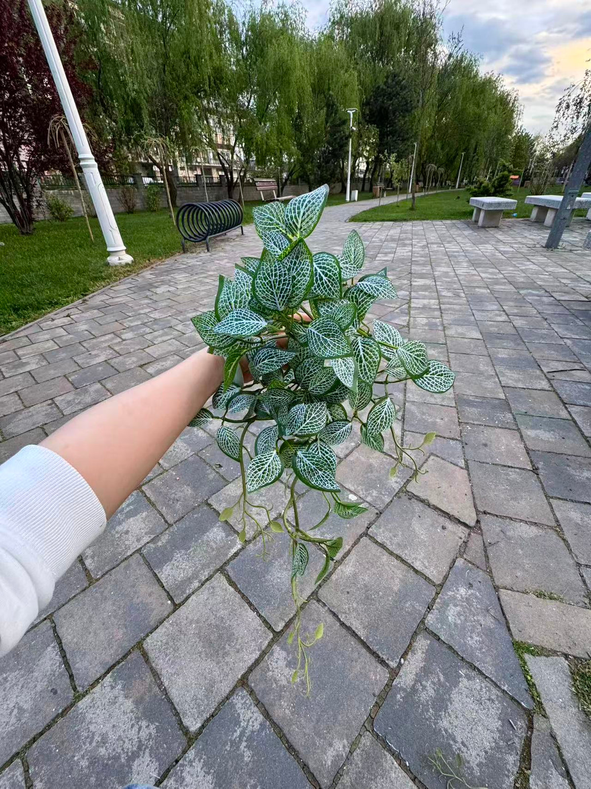 Planta artificiala curgatoare tip fittonia, 45 cm, alb-verde, Ruyidecor