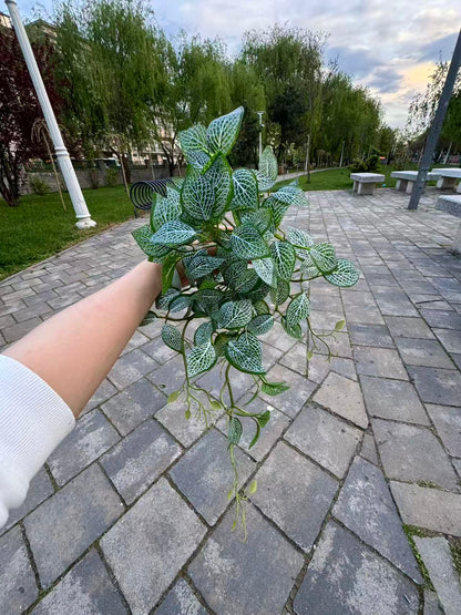 Planta artificiala curgatoare tip fittonia, 45 cm, alb-verde, Ruyidecor