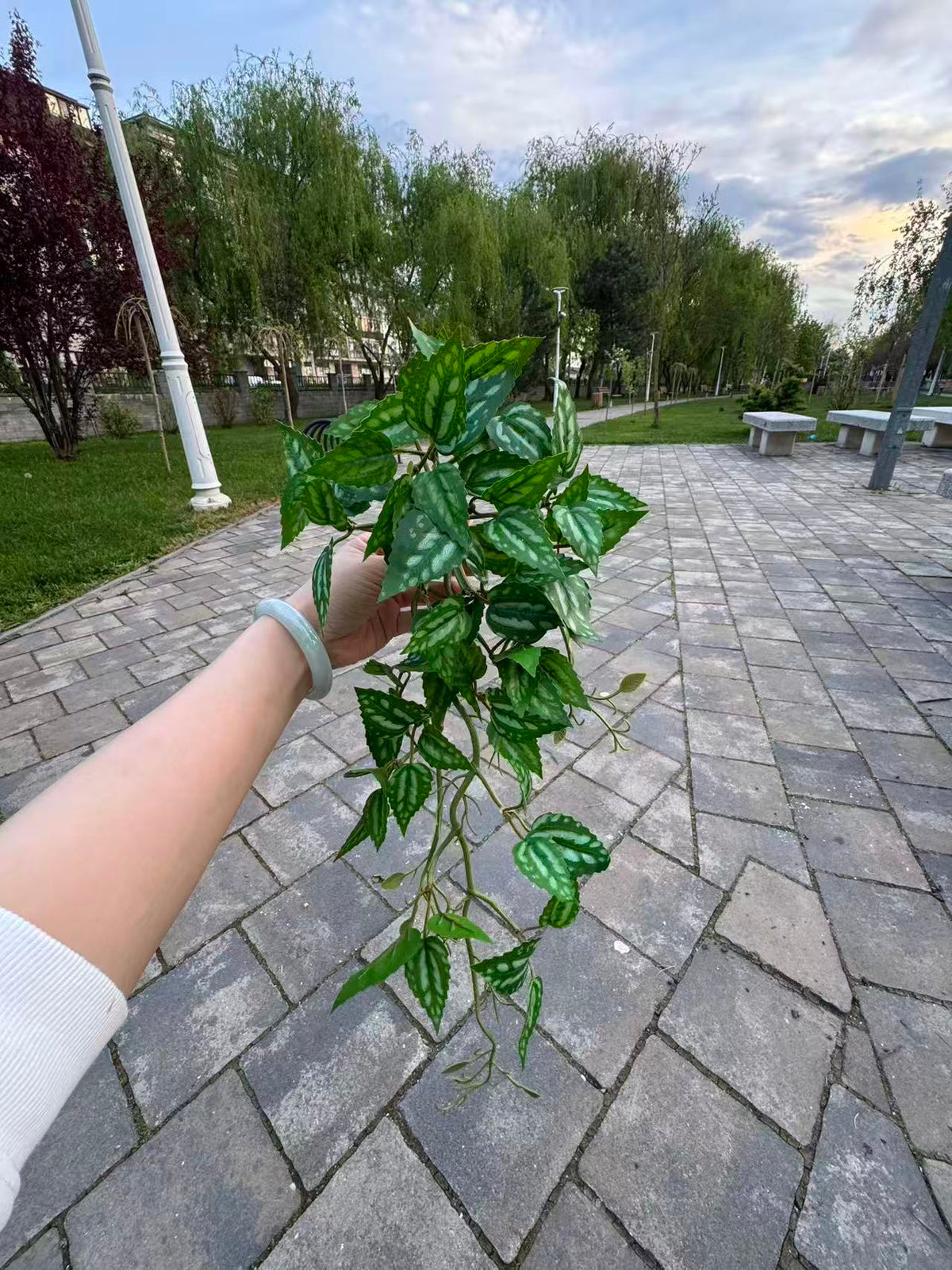 Planta artificiala curgatoare cu frunze argintii, 45 cm, Ruyidecor