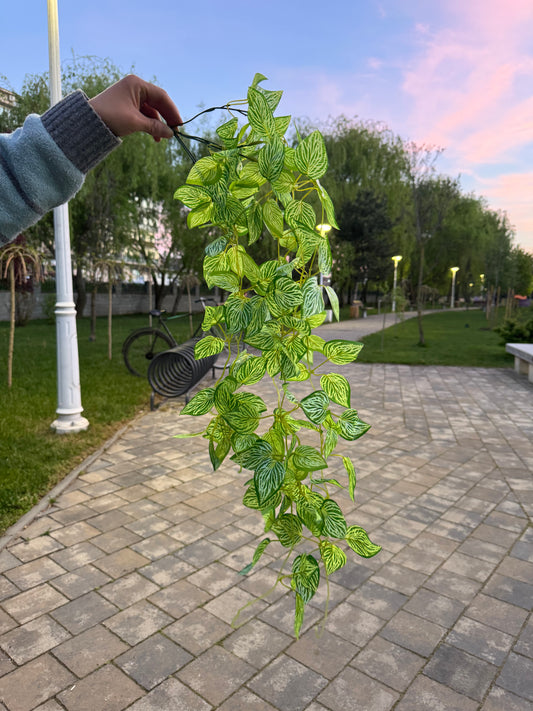 Planta artificiala curgatoare cu frunze ascutite dungate, 90 cm, verde, Ruyidecor