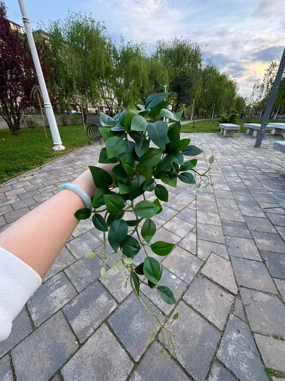 Planta artificiala curgatoare cu frunze ovale, 45 cm, verde inchis, Ruyidecor