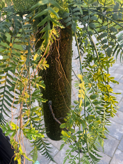 Planta artificiala suspendata tip feriga, 85 cm, verde, Ruyidecor