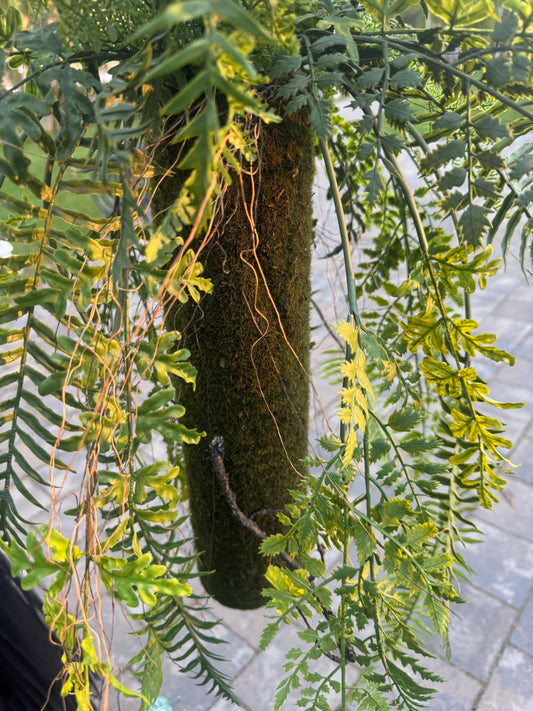 Planta artificiala suspendata tip feriga, 85 cm, verde, Ruyidecor