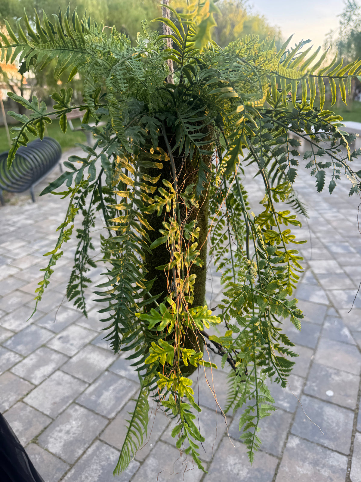 Planta artificiala suspendata tip feriga, 85 cm, verde, Ruyidecor