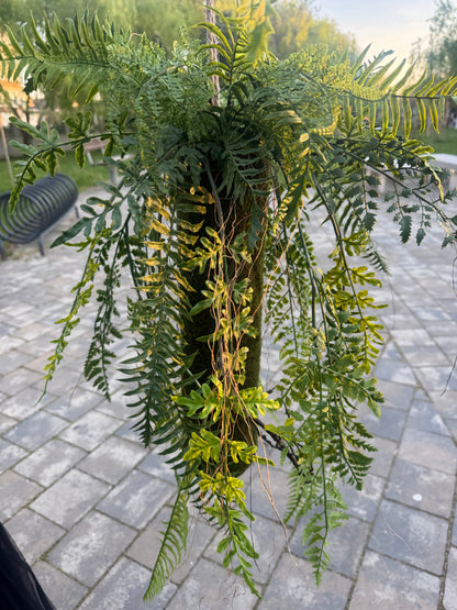 Planta artificiala suspendata tip feriga, 85 cm, verde, Ruyidecor