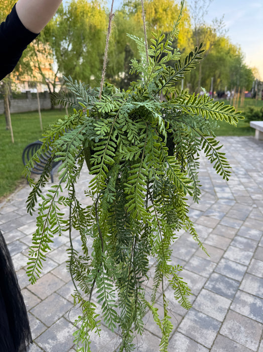Planta artificiala suspendata tip feriga cu suport sferic, 90 cm, Ruyidecor