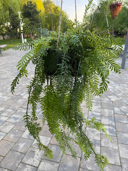 Planta artificiala suspendata tip feriga cu suport sferic, 90 cm, Ruyidecor