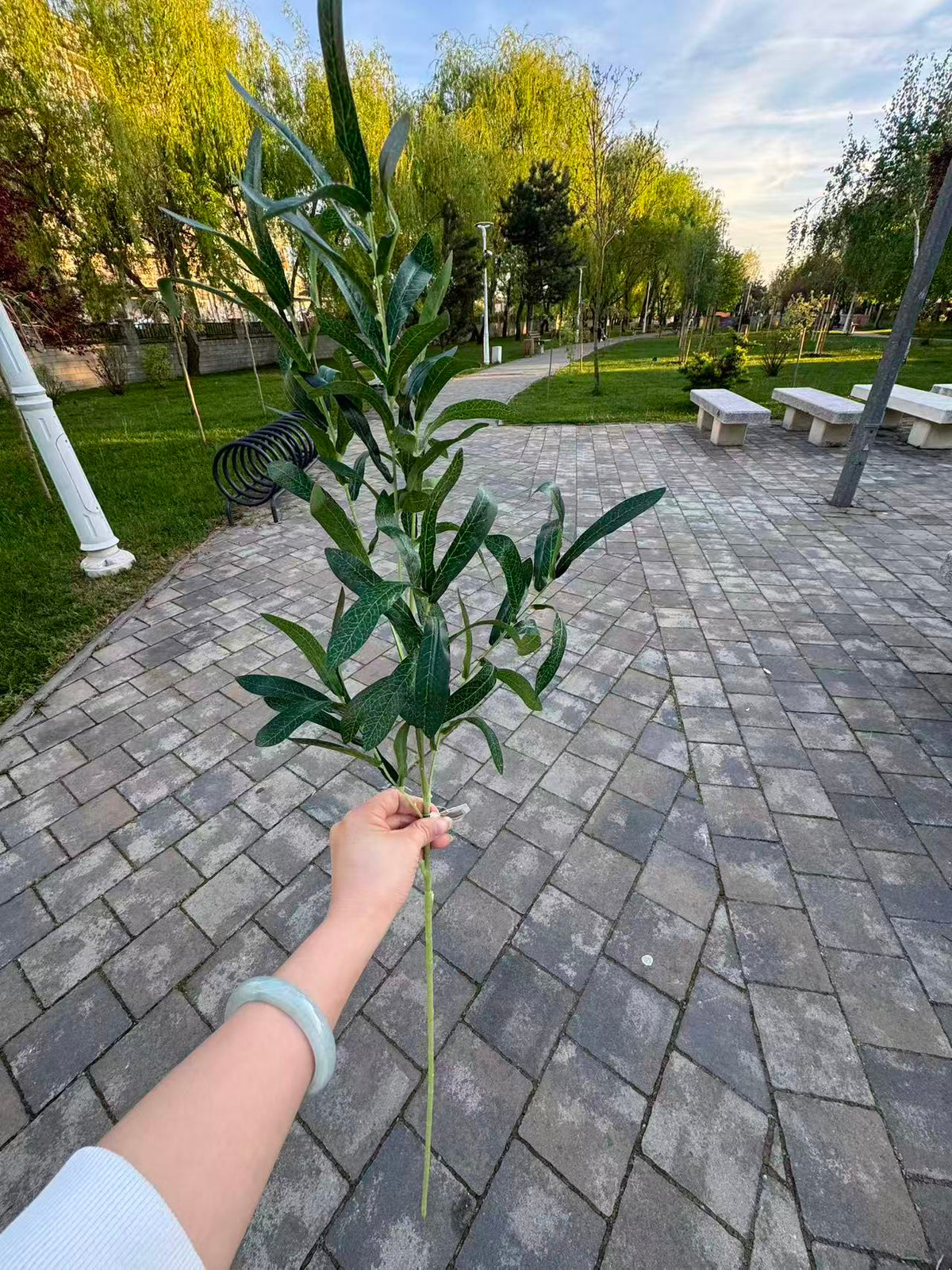 Ramura artificiala cu frunze inguste, 85 cm, 2 culori, Ruyidecor