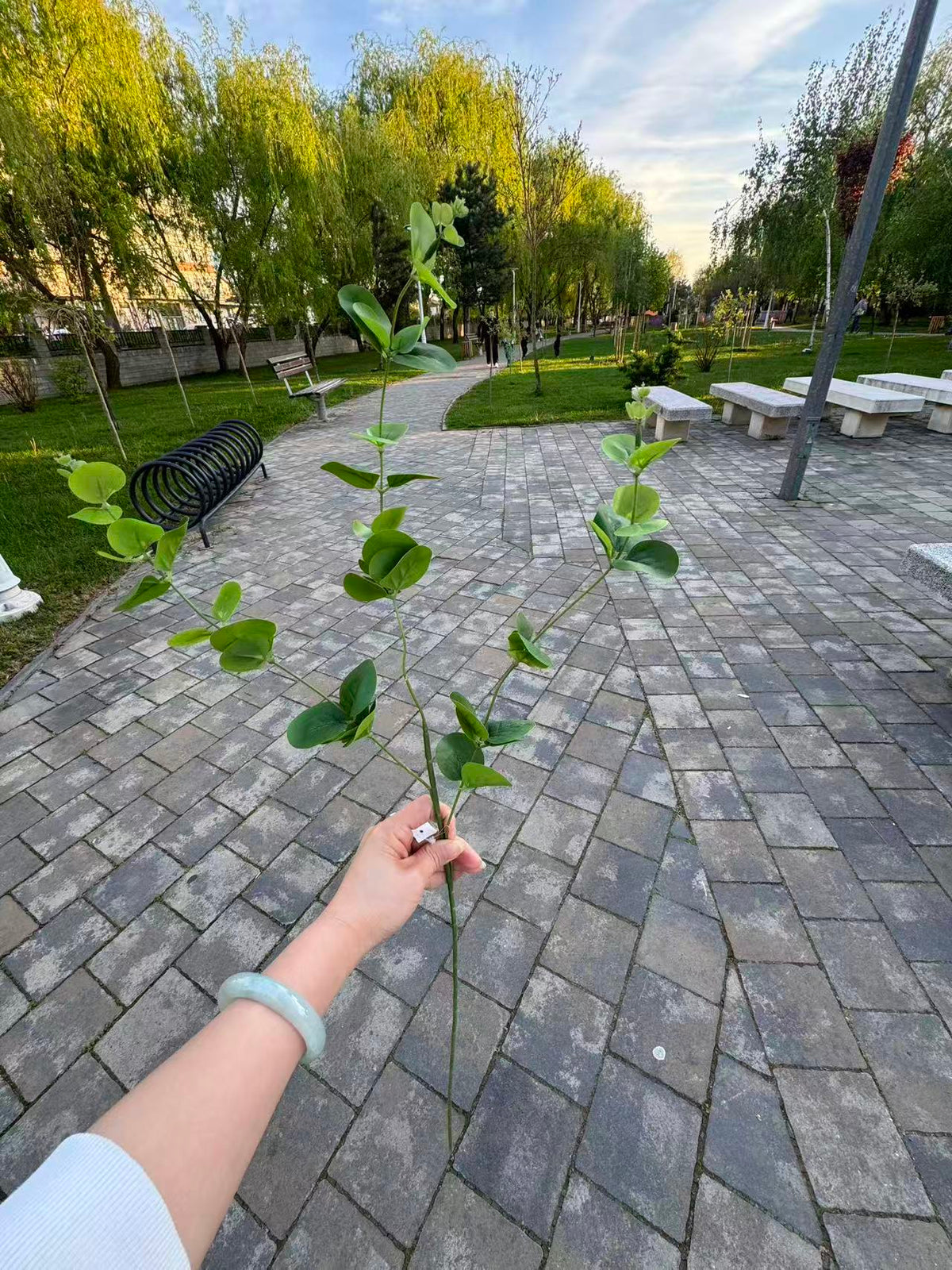 Ramura eucalipt artificiala, 80 cm, verde sau roz, Ruyidecor
