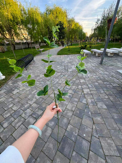 Ramura eucalipt artificiala, 80 cm, verde sau roz, Ruyidecor