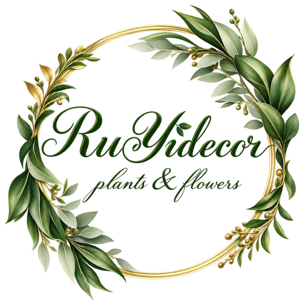 ruyidecor logo