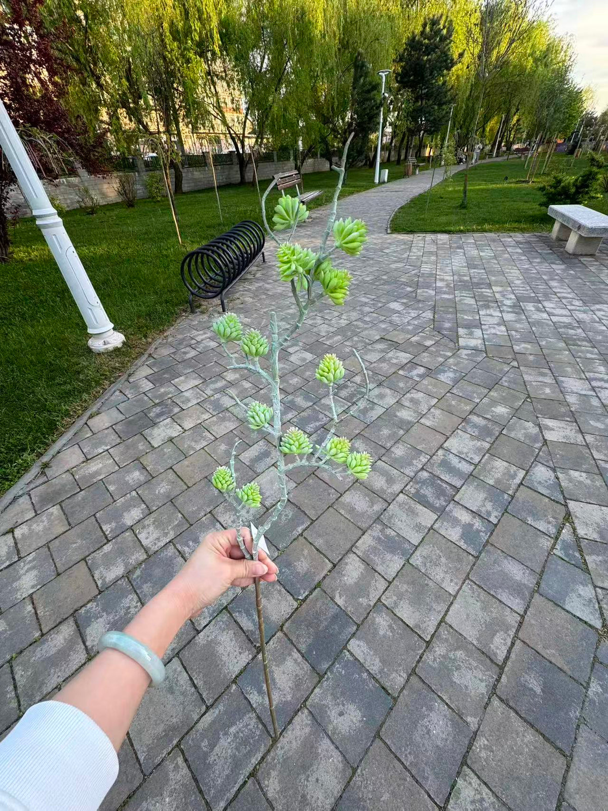 Tija artificiala decorativa cu suculente, 80 cm, 3 culori, Ruyidecor